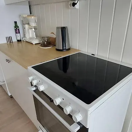 Fishermens House, Romslig Naer Sjoen Medby Apartment *